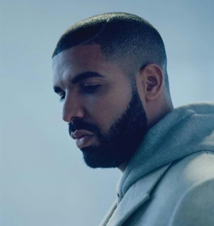 Beard and Skin Fade Drake