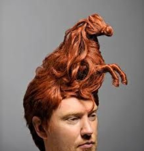 horse-hair-ridiculous-haircuts