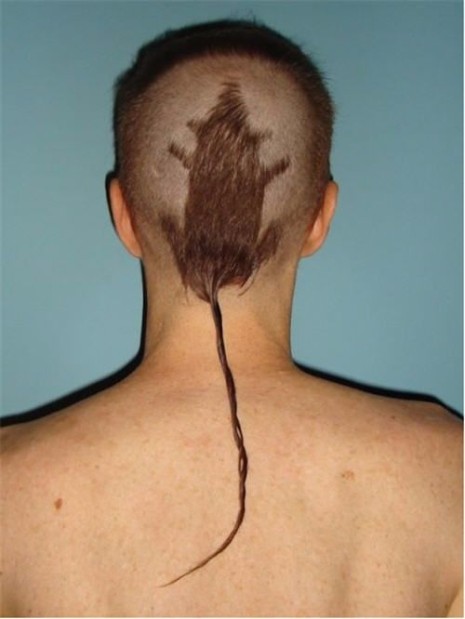 literal-rat-tail-ridiculous-haircut