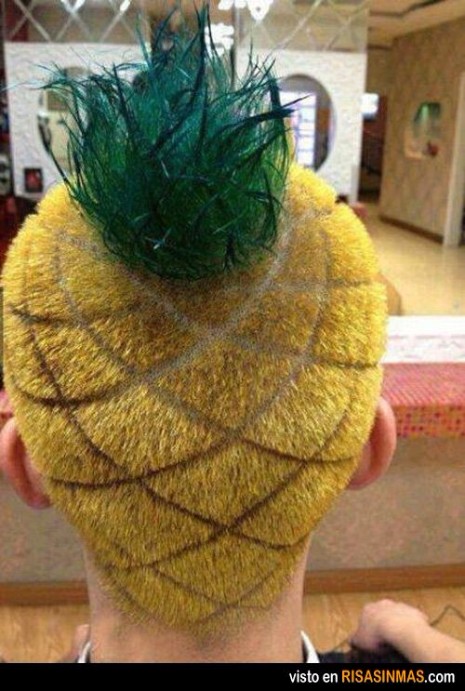 pineapple-style-ridiculous-haircuts