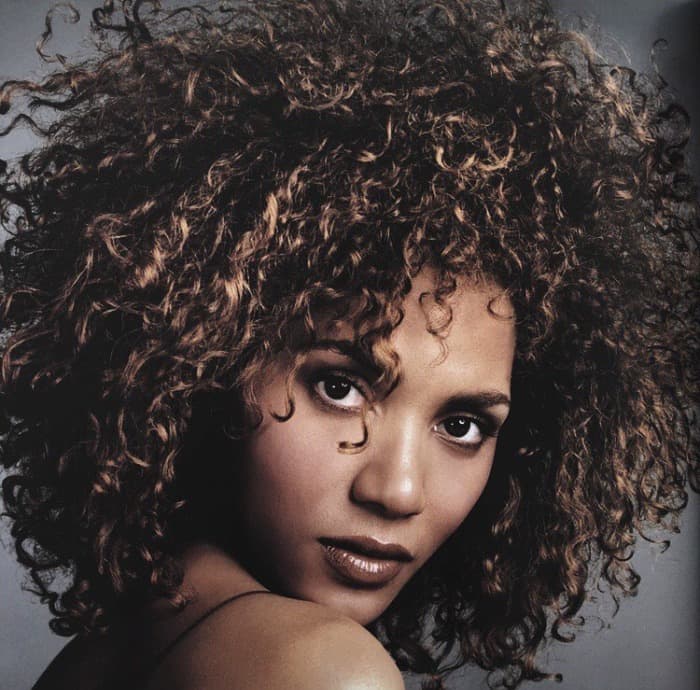 Halle Berry’s Honey-Tinged Afro