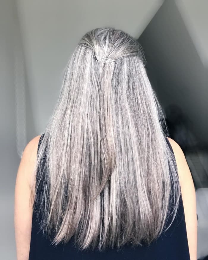 Sleek Long Shiny Gray