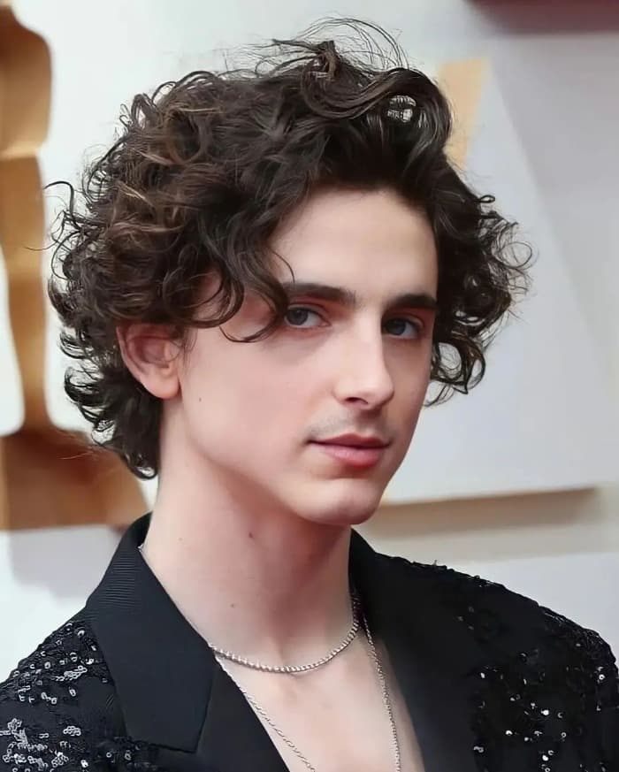 https://hairstyleonpoint.com/wp-content/uploads/2021/08/wavy-hair-men.jpg