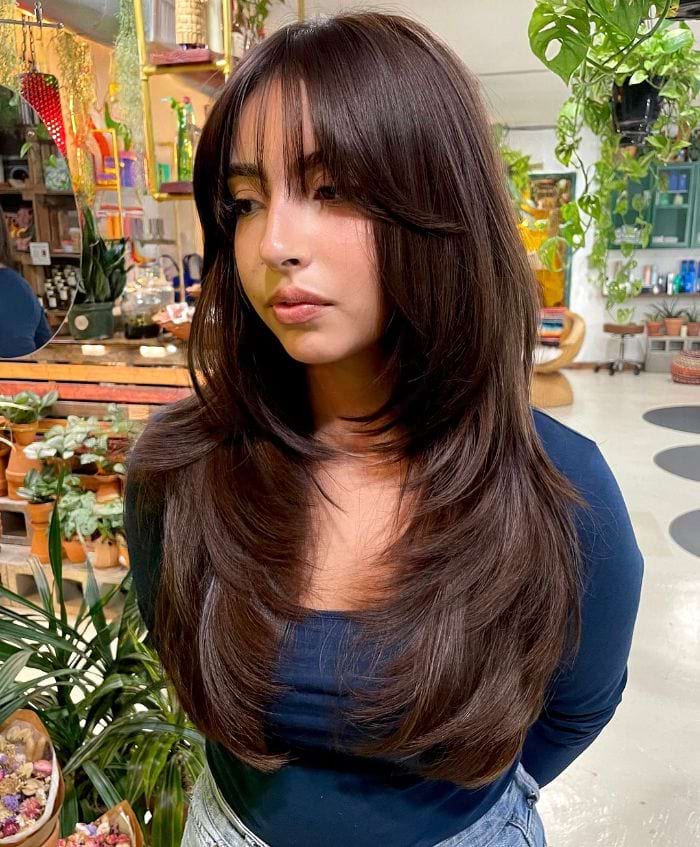 Layered Haircut